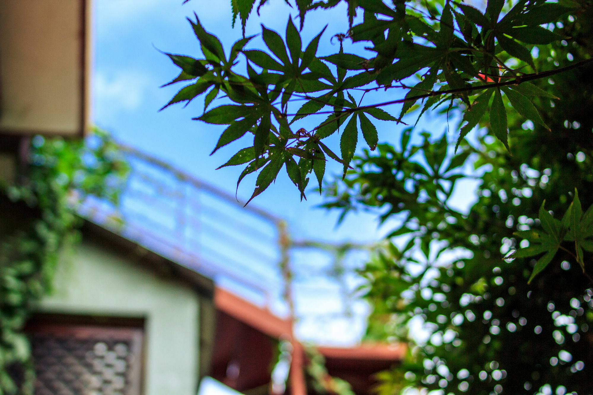 Ooh Countryard Inn Dali (Yunnan) Exterior foto