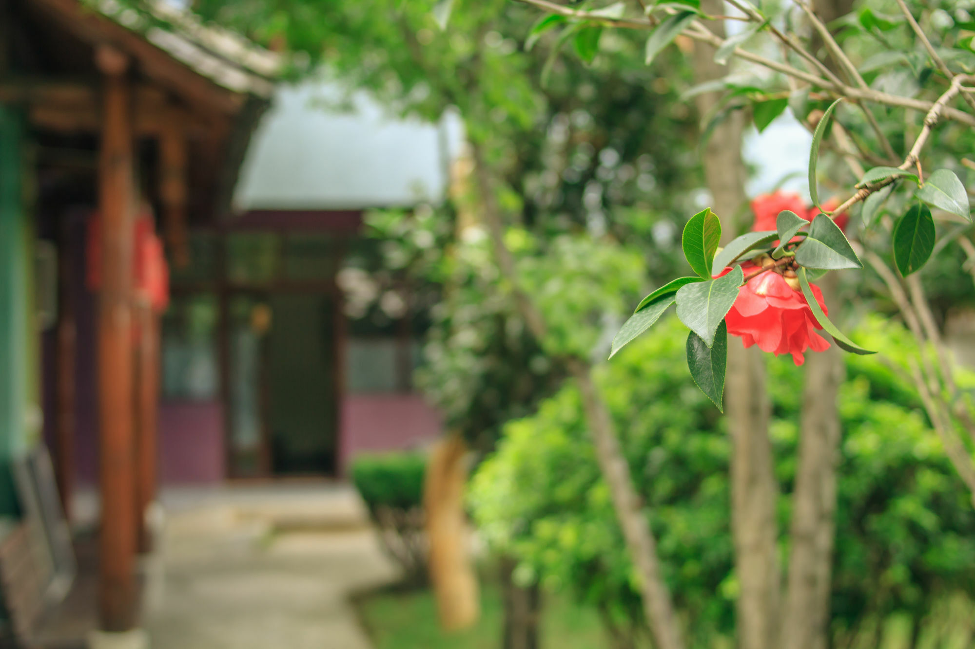 Ooh Countryard Inn Dali (Yunnan) Exterior foto