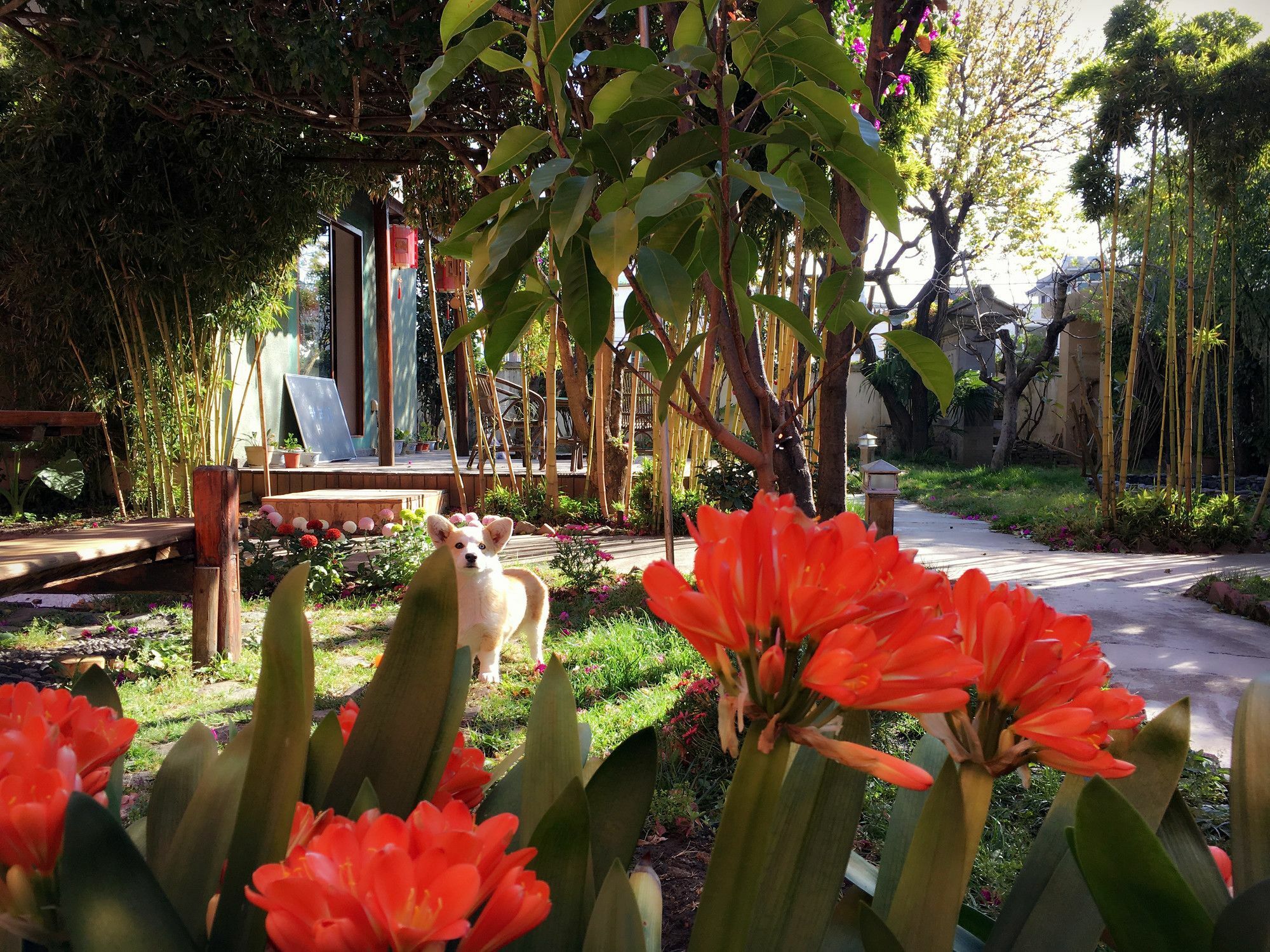 Ooh Countryard Inn Dali (Yunnan) Exterior foto